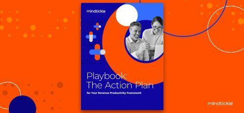 The Action Plan for Your Revenue Productivity Framework